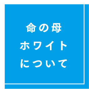 今の世の中（社会課題）