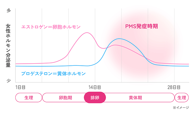 女性ホルモン分泌量グラフ