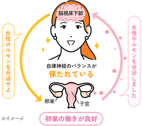 更年期になる前 イメージ図
