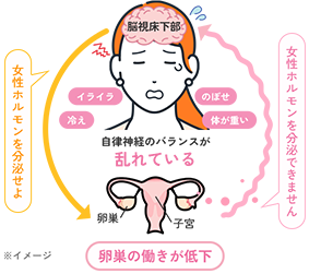 更年期になると イメージ図