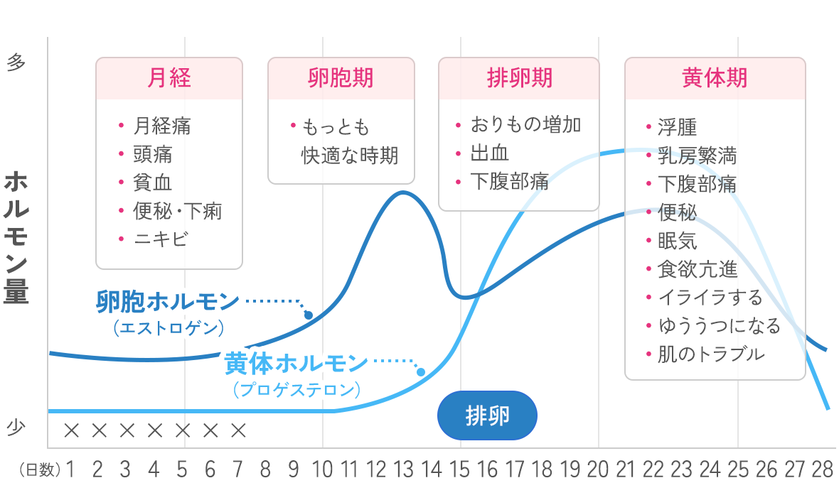 月経周期によるPMS症状の変化