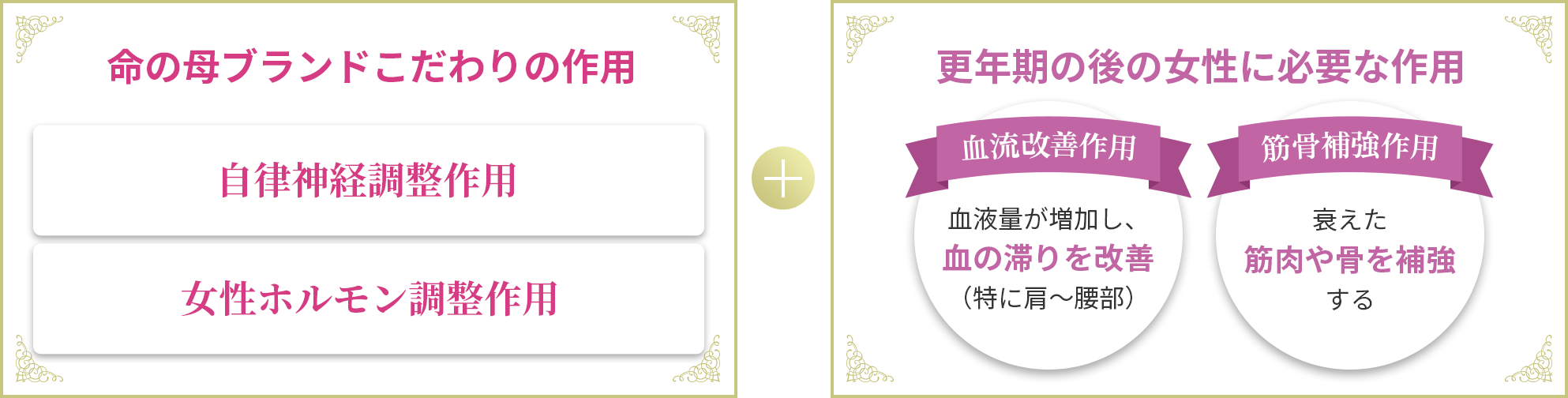 命の母ブランドこだわりの作用 自律神経調整作用 / 女性ホルモン調整作用 + 更年期の後の女性に必要な作用 血流改善作用:血液量が増加し、血の滞りを改善（特に肩～腰部） / 筋骨補強作用:衰えた筋肉や骨を補強する 