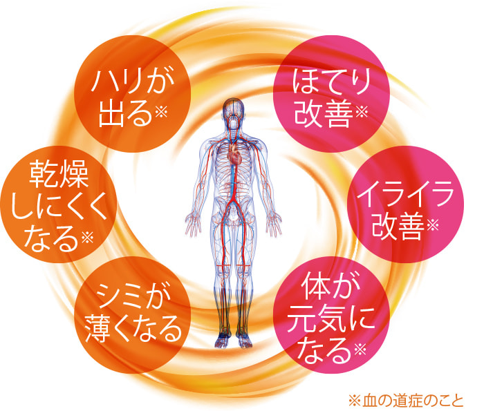 ハリが出る 乾燥しにくくなる シミが薄くなる ほてり改善 イライラ改善 体が元気になる ※血の道症のこと