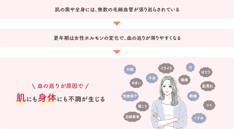肌の奥や全身には、無数の毛細血管が張り巡らされている 更年期は女性ホルモンの変化で、血の巡りが滞りやすくなる 血の巡りが原因で肌にも身体にも不調が生じる、不眠・不安・汗・性欲低下・乾燥・くすみ・イライラ・ほてり・めまい・頭痛・肌荒れ・肩こり・シミ・月経異常