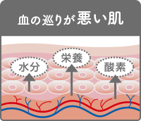 血の巡りが悪い肌