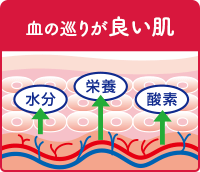 血の巡りが良い肌
