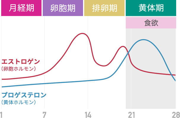 グラフ：女性の生理周期とホルモン分泌