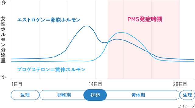 女性ホルモン分泌量グラフ