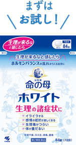 まずはお試し！命の母ホワイト84錠