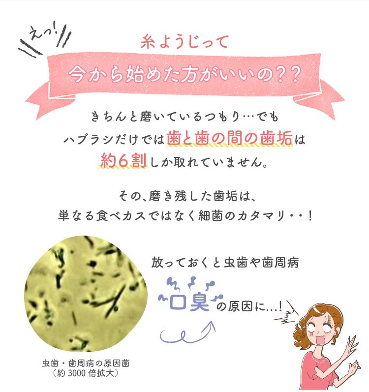 糸ようじってきちんと磨いているつもり…でもハブラシだけでは歯と歯の間の歯垢は約６割しか取れていません。その、磨き残した歯垢は、単なる食べカスではなく細菌のカタマリ・・！