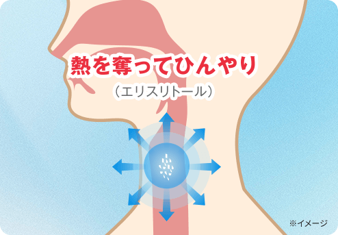 熱を奪ってひんやり（エリスリトール）※イメージ