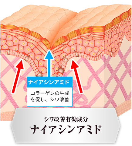 シワ改善成分ナイアシンアミド