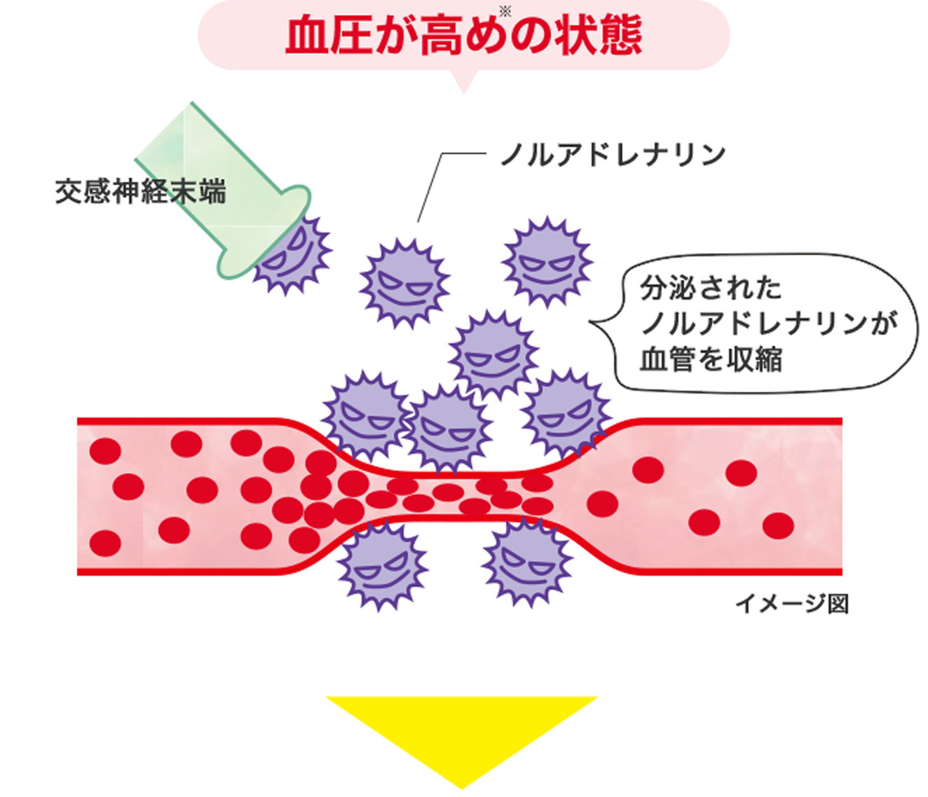 血圧が高めの状態