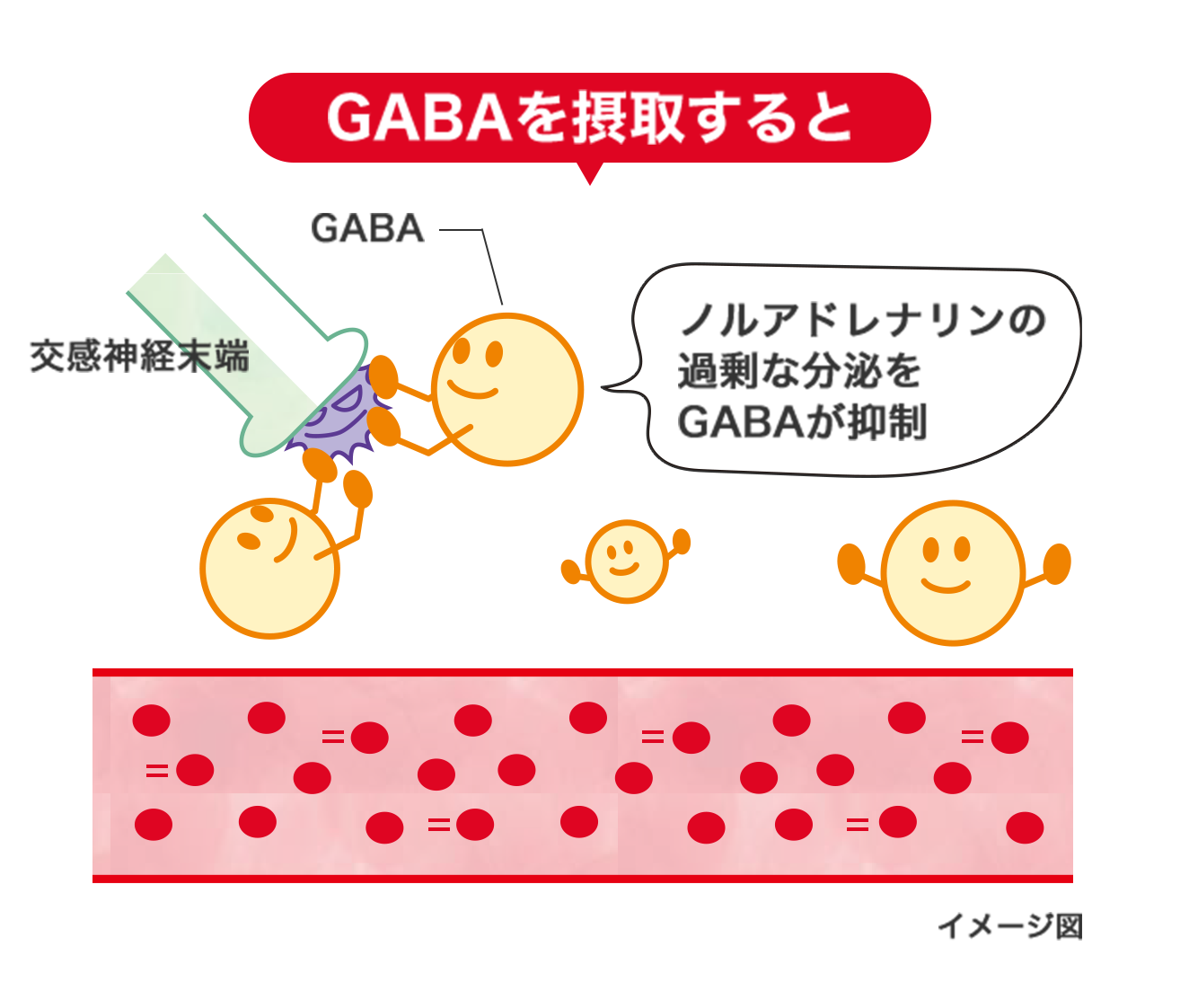 GABAを摂取すると