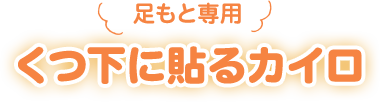 足もと専用 くつ下に貼るカイロ