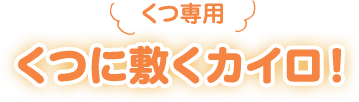 くつ専用 くつに敷くカイロ！