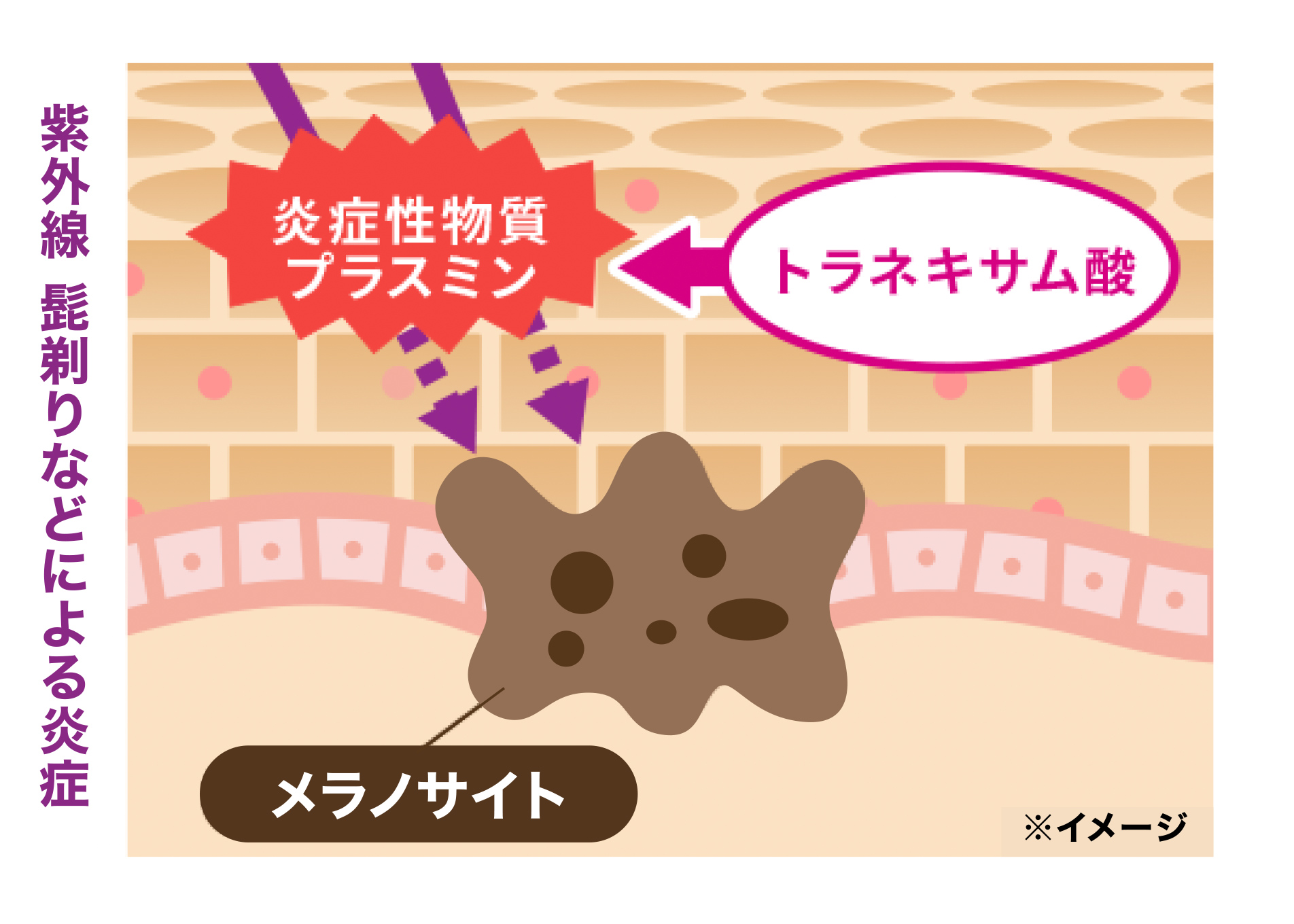 イメージ画像