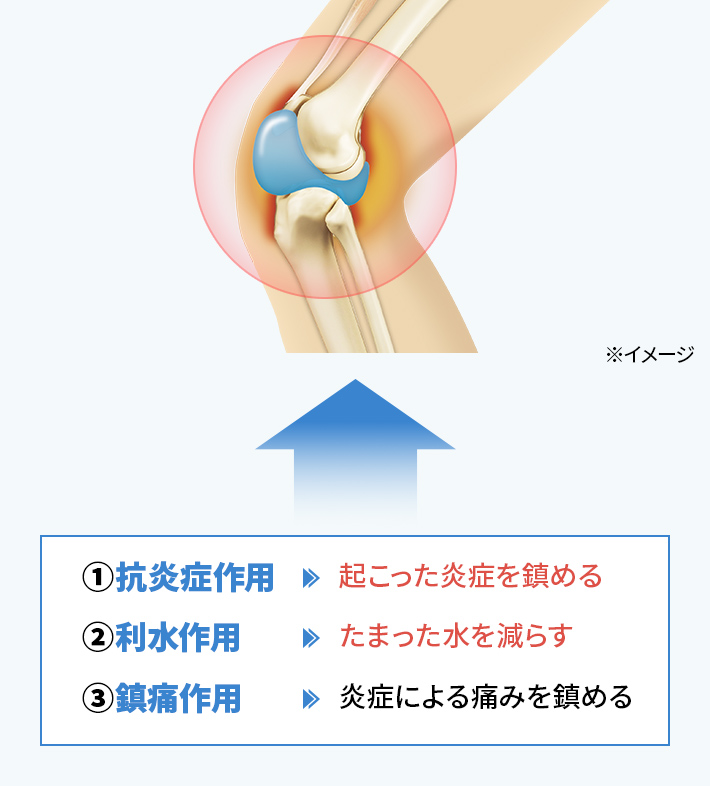 ①抗炎症作用：起こった炎症を鎮める ②利水作用：たまった水を減らす ③鎮痛作用：炎症による痛みを鎮める