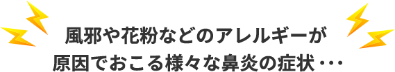 風邪や花粉などのアレルギーが原因でおこる様々な鼻炎の症状・・・
