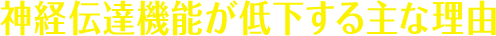 神経伝達機能が低下する主な理由