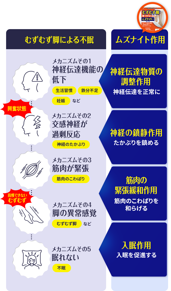 むずむず脚による不眠のメカニズムとムズナイト作用の図解イメージ