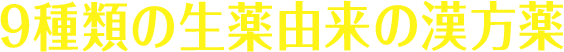 9種類の生薬由来の漢方薬