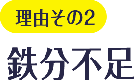 理由その2 鉄分不足