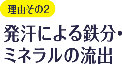 理由その2 発汗による鉄分・ミネラルの流出