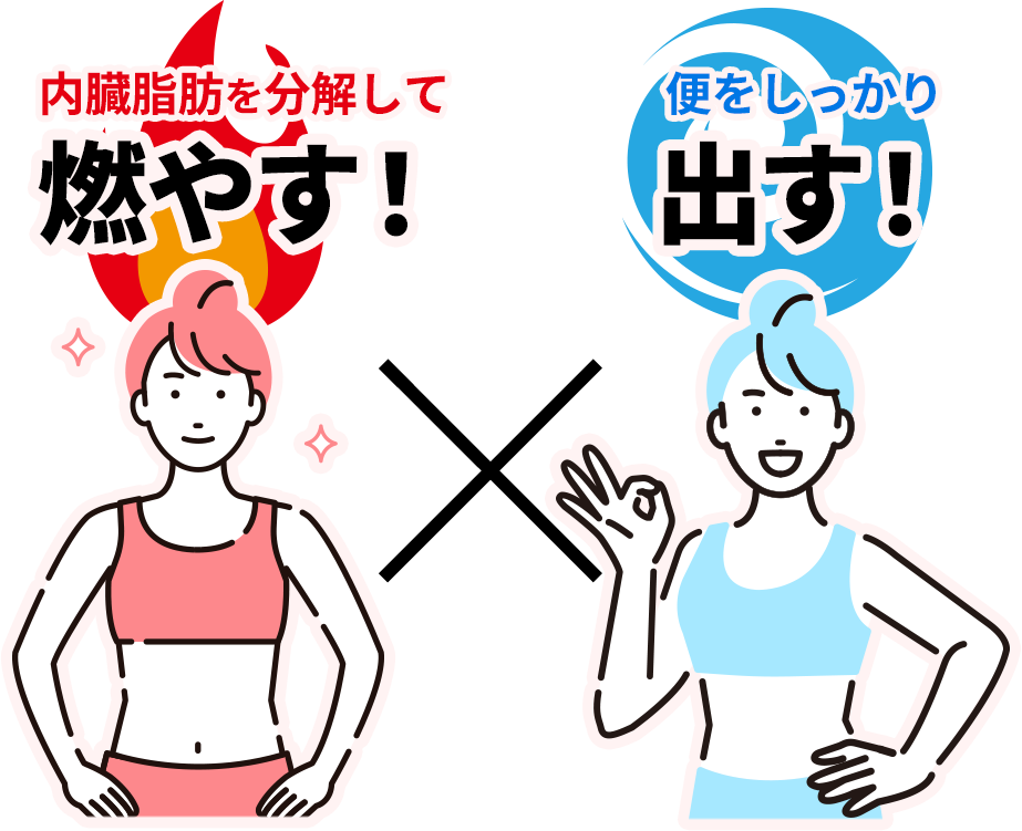 内臓脂肪を分解して燃やす！便をしっかり出す！