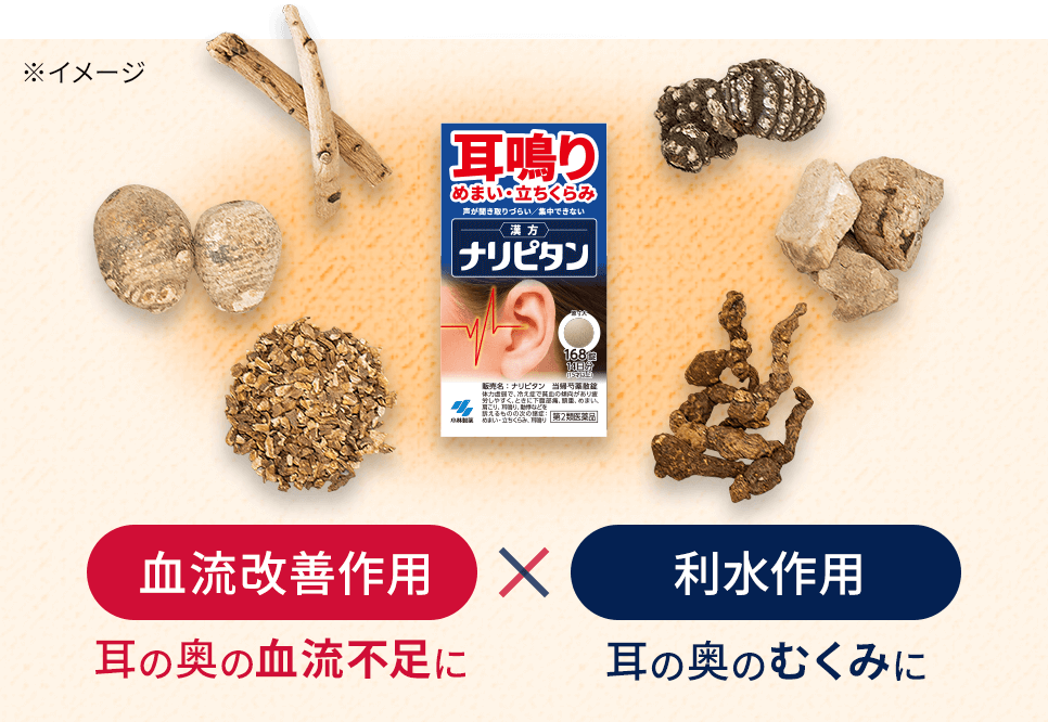 血流改善作用（耳の奥の血流不足に）×利水作用（耳の奥のむくみに）※イメージ