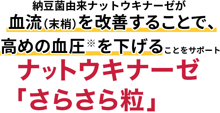 納豆菌由来ナットウキナーゼが血流（末梢）を改善することで、血圧※を下げることをサポート