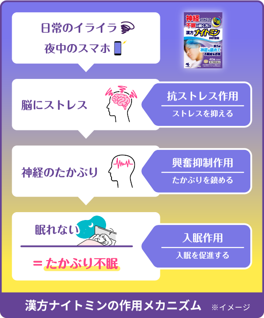 たかぶり不眠の病態 イメージ画像