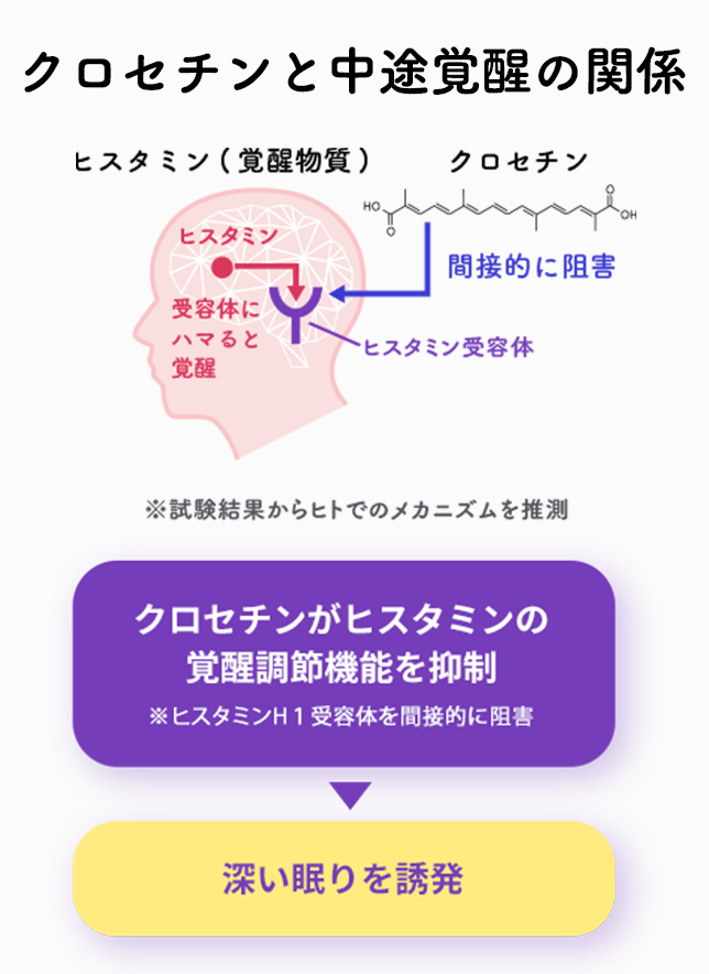 クロセチンと中途覚醒の関係