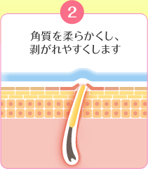 Qp_炩A₷܂
