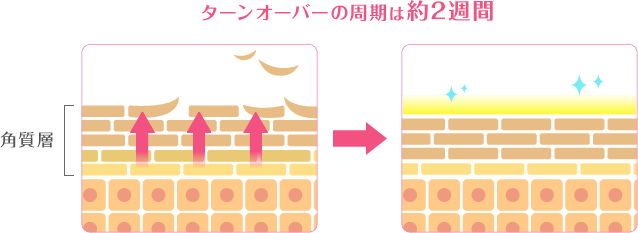 ^[I[o[͖̎2T
