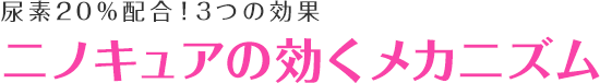 Af20%zI3̌ʃjmLǍJjY