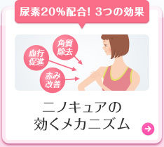 jmLǍJjY