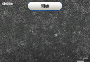開始