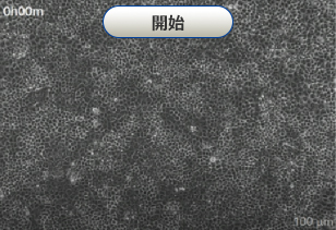 開始