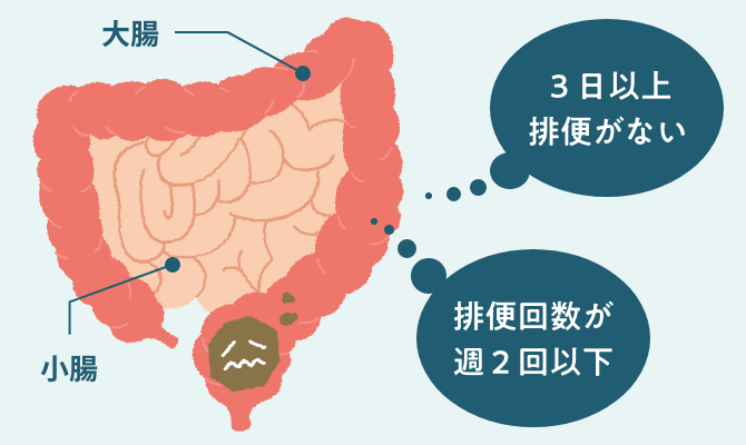 ヘルニアはどうして便秘を引き起こすのでしょうか？