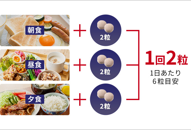 1回2粒 1日あたり6粒目安