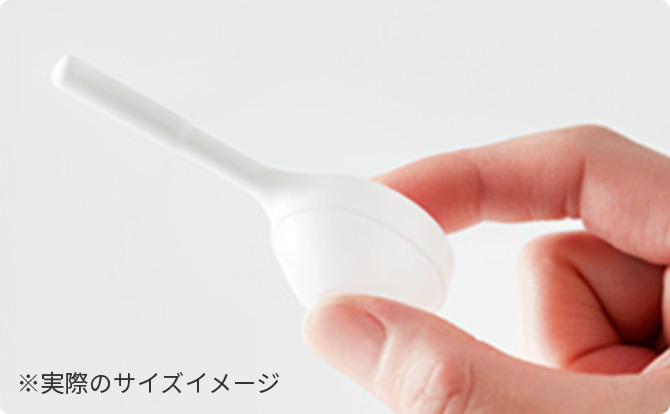 ※実際のサイズイメージ