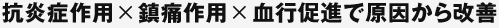 RǍp~ɍp~siŌP