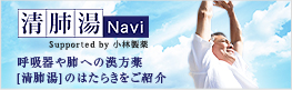 xNavi supported by ѐ