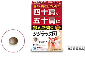 l\A܏\ɈŌ VWbN