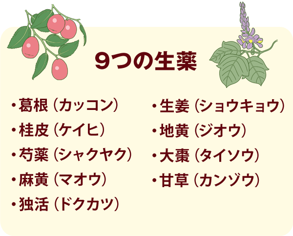 9�̐���A�����i�J�b�R���j�A���I�i�V���E�L���E�j�A�j��i�P�C�q�j�A�n���i�W�I�E�j�A䉖�i�V���N���N�j�A�垥�i�^�C�\�E�j�A�����i�}�I�E�j�A�Ñ��i�J���]�E�j�A�Ɗ��i�h�N�J�c�j