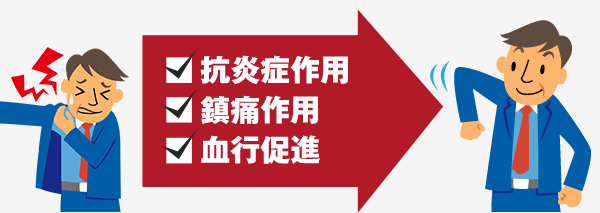 �R���Ǎ�p�A���ɍ�p�A���s���i