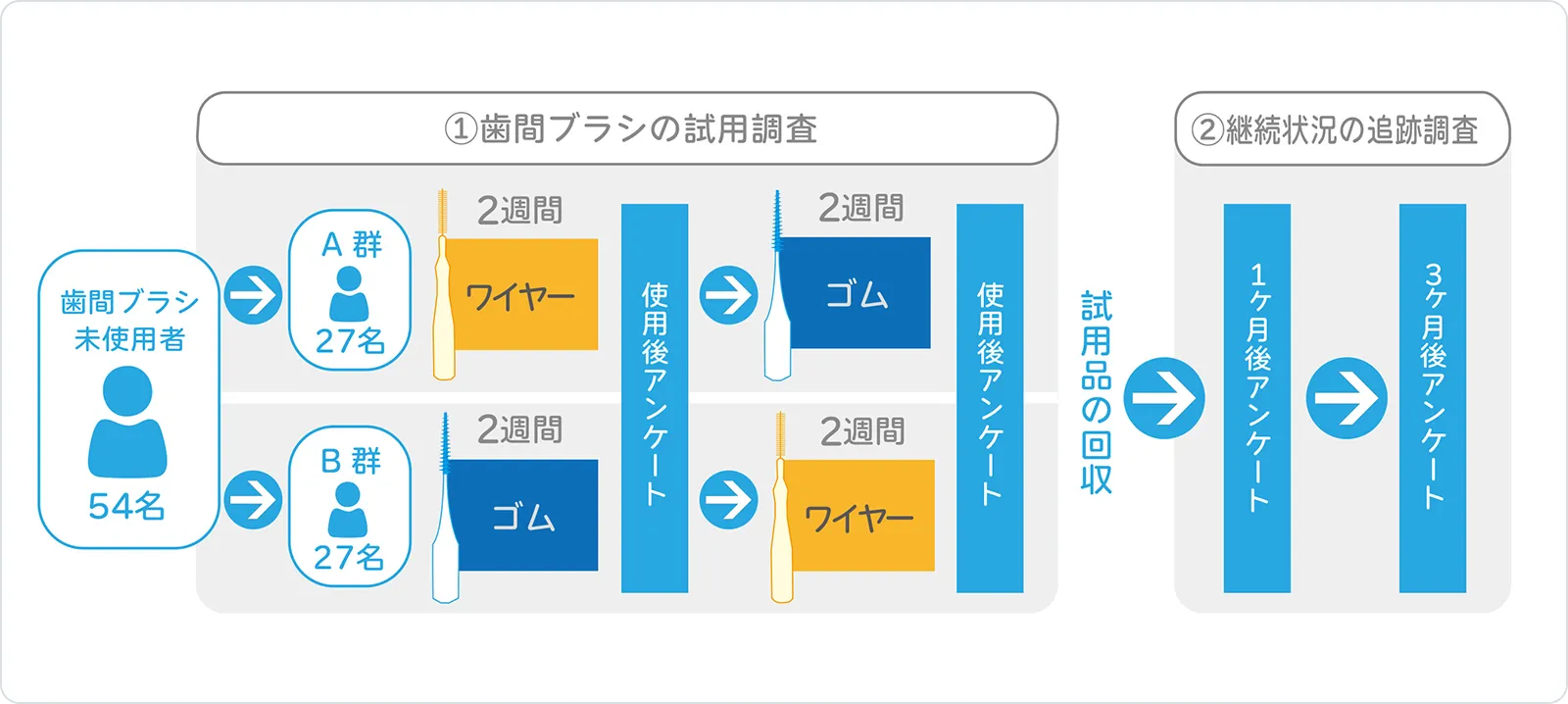 歯間ブラシの試用調査と継続状況追跡調査のフローチャート。未使用者54名をA群(ワイヤータイプ)とB群(ゴムタイプ)に分け、それぞれ2週間試用後にアンケートを実施し、試用品回収と1ヶ月後・3ヶ月後の追跡調査を行う流れを示している。