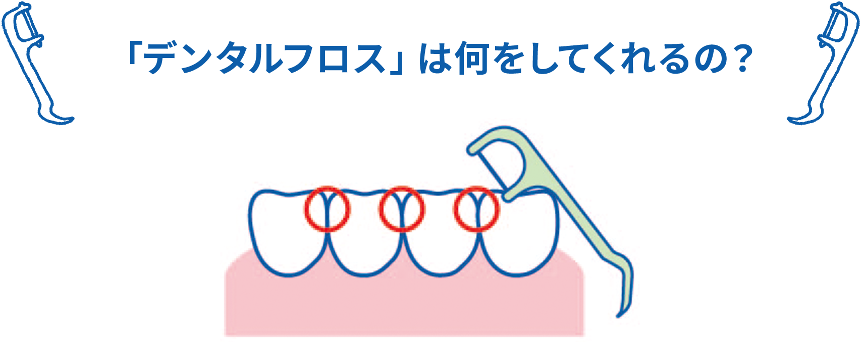 「デンタルフロス」は何をしてくれるの？