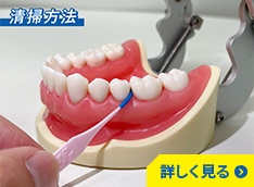 持ち手付きフロス（I字型）の清掃方法